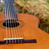 Gitar (akustisk, el, bass)